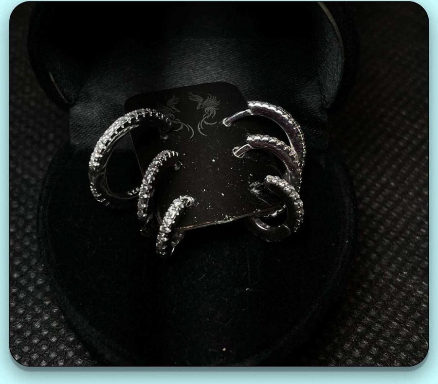 Conjunto argola cravejada dupla
