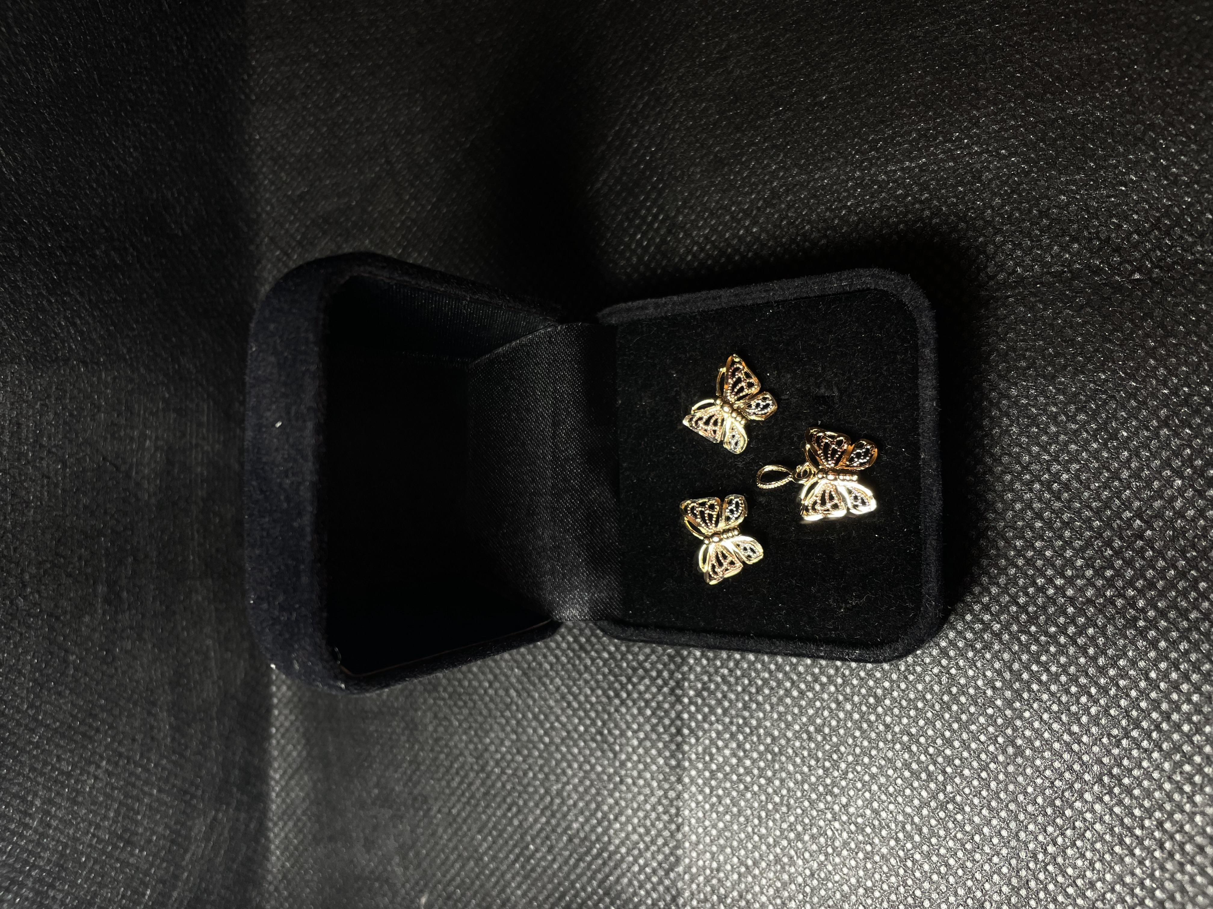 Conjunto borboleta 